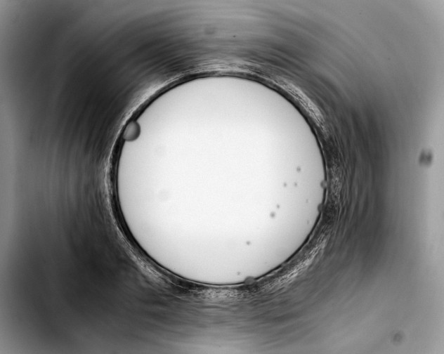 X0000103430893200810101040