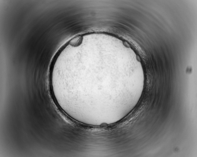 X0000103430894200810101040