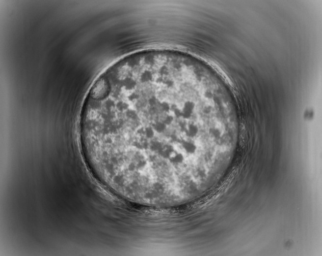 X0000103430895200810101040
