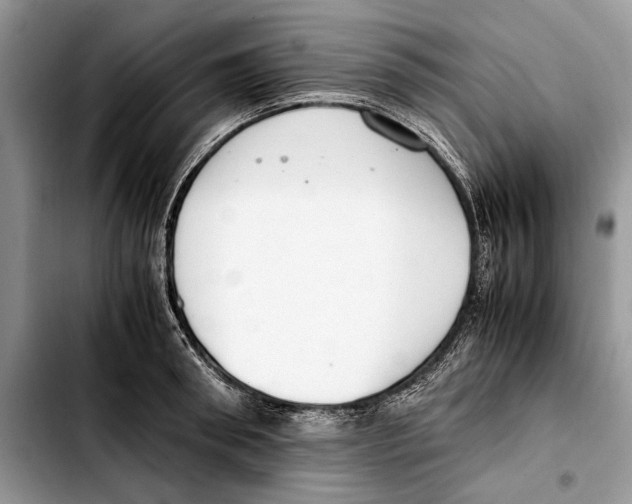 X0000103430898200810101040