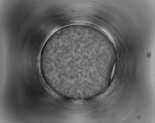 X0000103430899200810101040