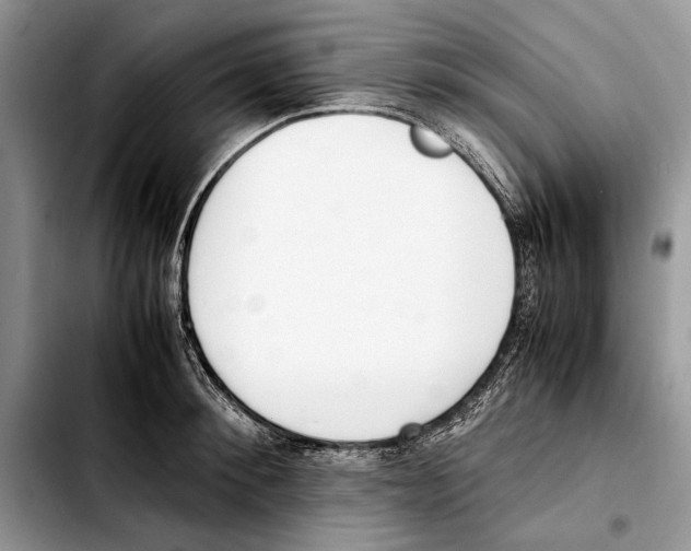 X0000103430900200810101040