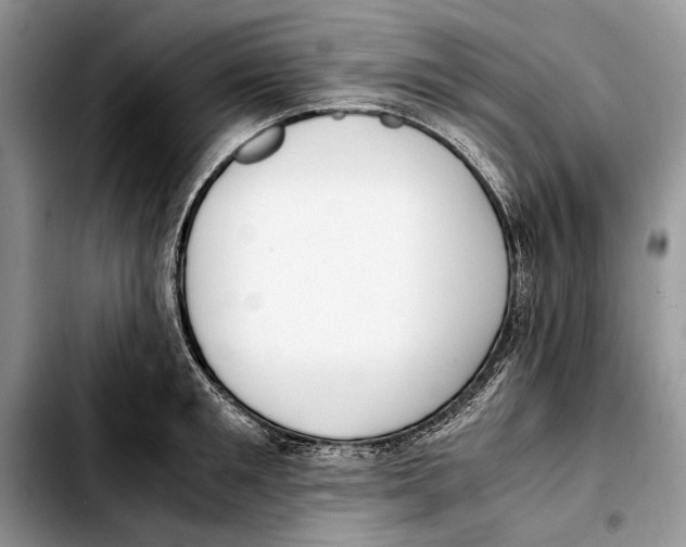 X0000103430901200810101040