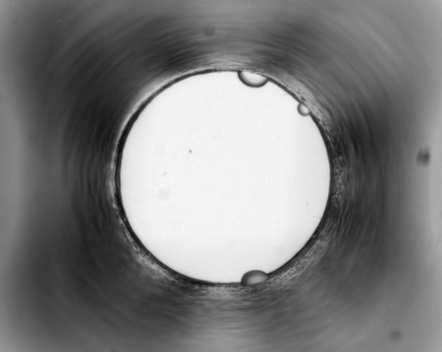 X0000103430904200810101039