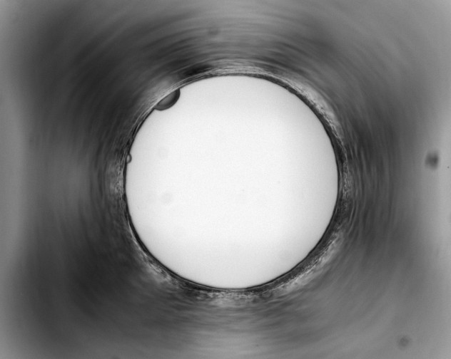 X0000103430905200810101039
