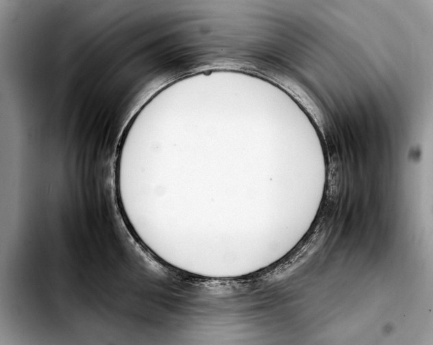 X0000103430906200810101039