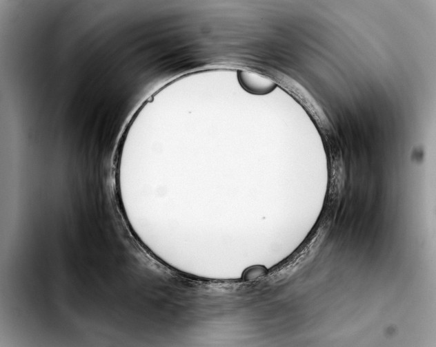 X0000103430908200810101039