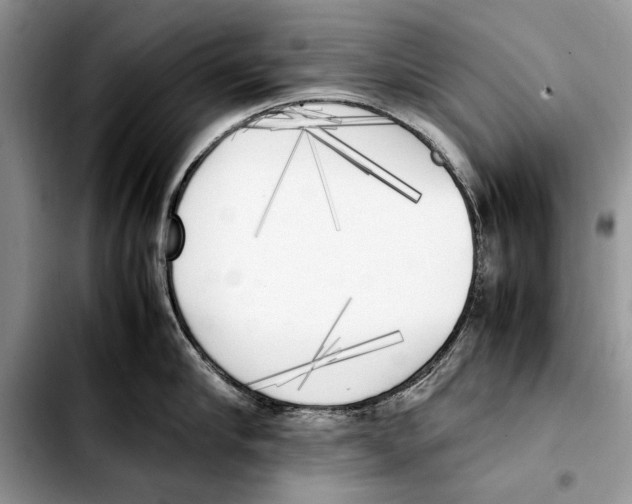 X0000103430910200810101039