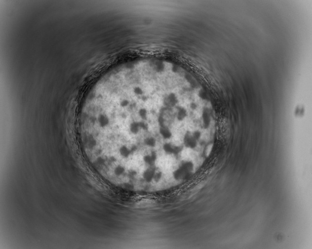 X0000103430913200810101039