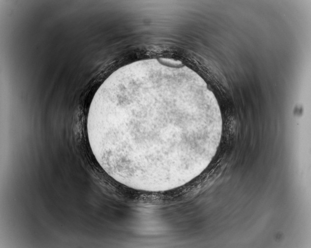 X0000103430914200810101039