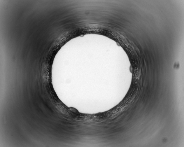 X0000103430916200810101039