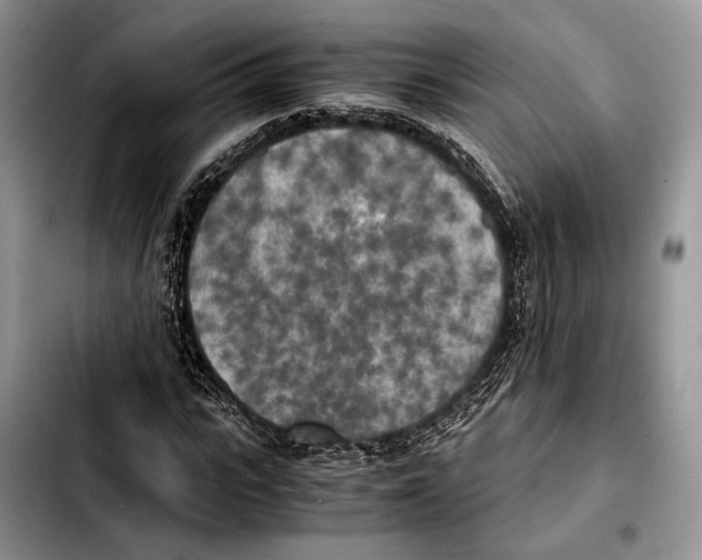 X0000103430919200810101039