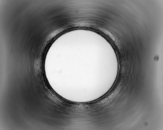 X0000103430922200810101039