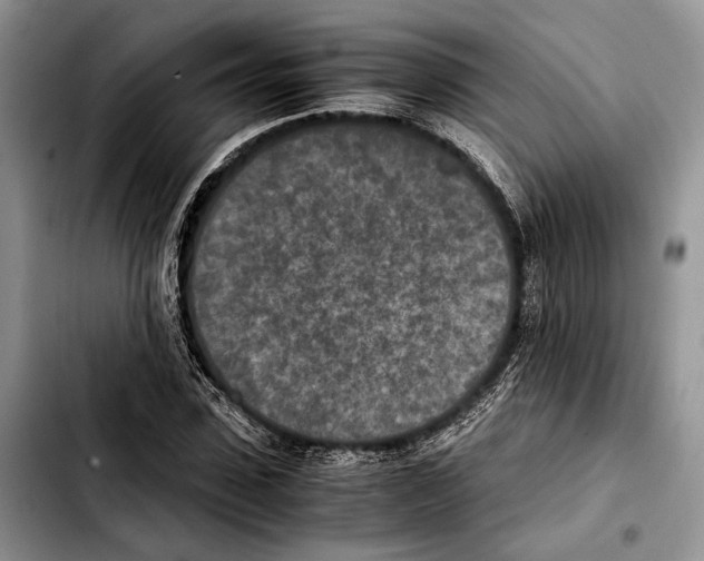 X0000103430923200810101039
