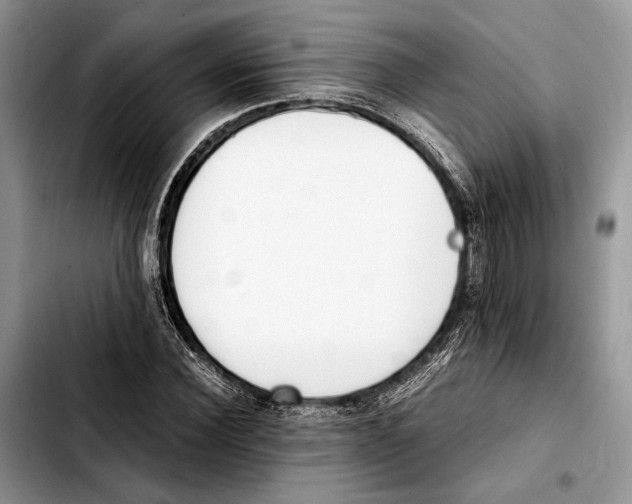 X0000103430924200810101039