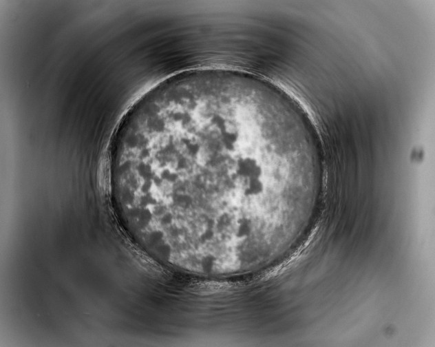 X0000103430925200810101039