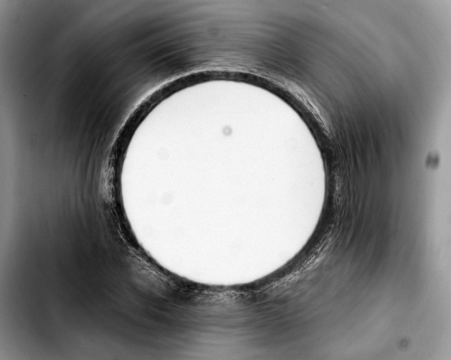 X0000103430926200810101039