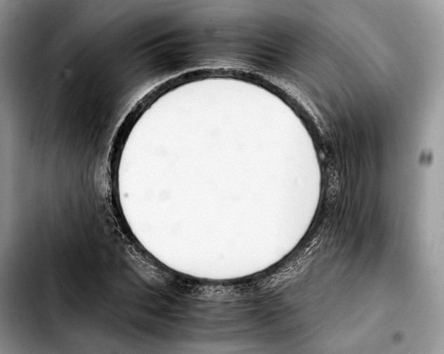 X0000103430927200810101039