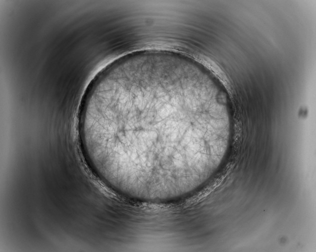 X0000103430928200810101039