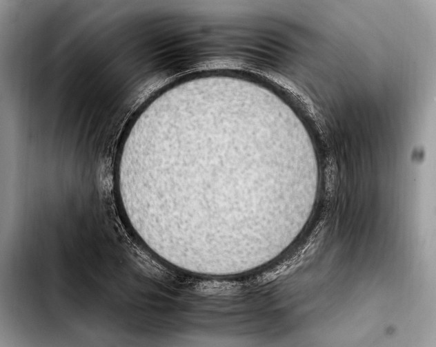 X0000103430929200810101039