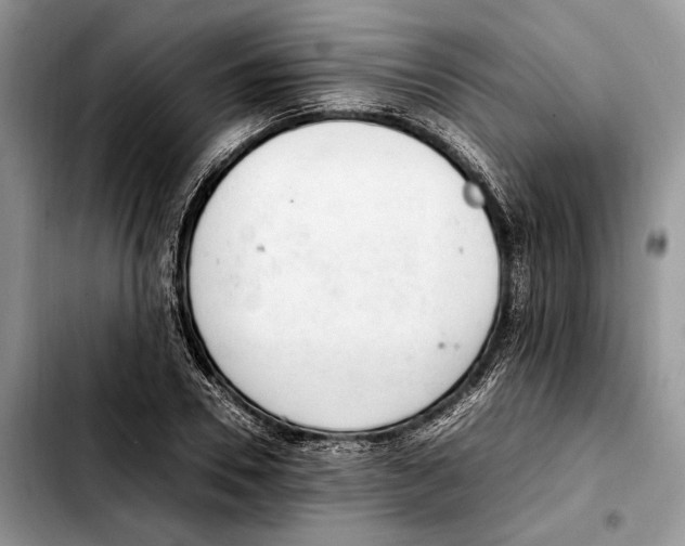X0000103430930200810101039