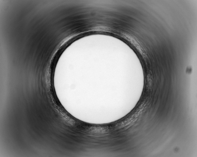 X0000103430931200810101039