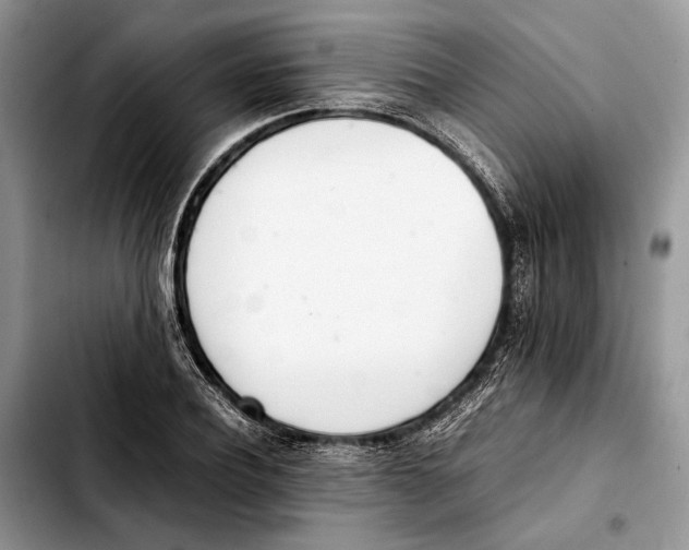 X0000103430932200810101039