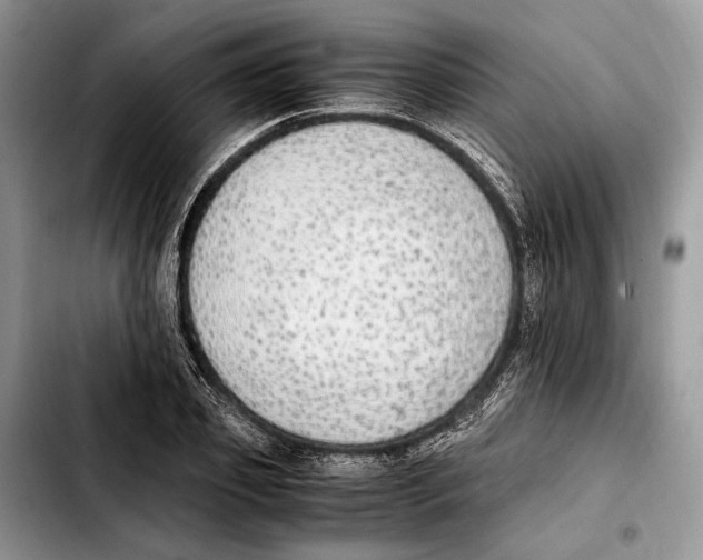X0000103430933200810101039