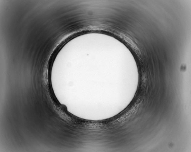 X0000103430934200810101039