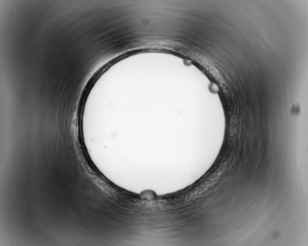 X0000103430936200810101039