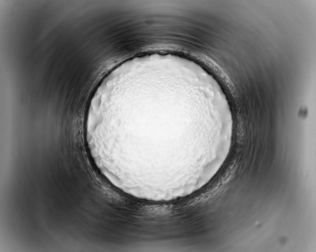 X0000103430937200810101039