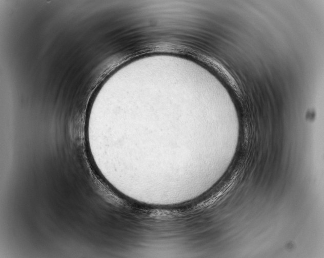 X0000103430938200810101039