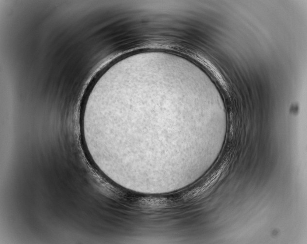X0000103430939200810101039
