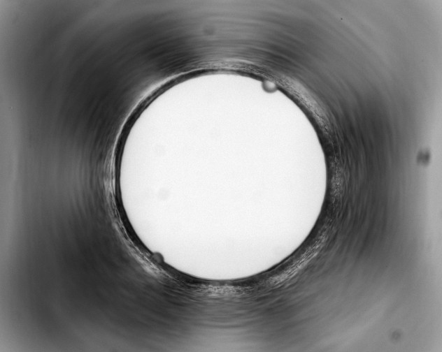 X0000103430940200810101039