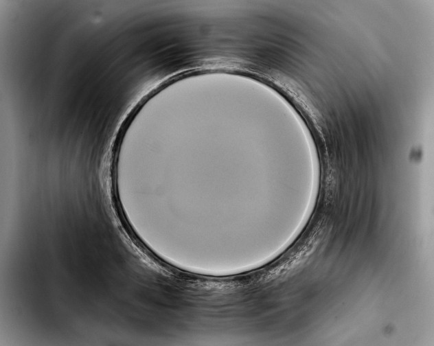 X0000103430941200810101039