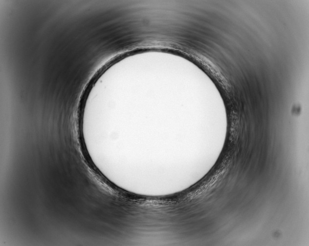 X0000103430942200810101039