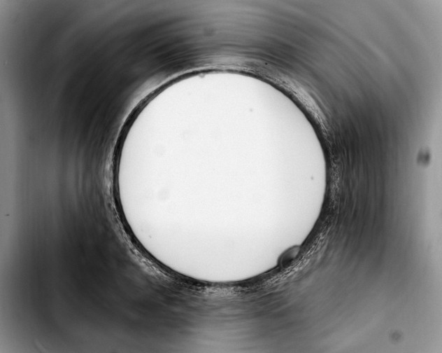 X0000103430944200810101039