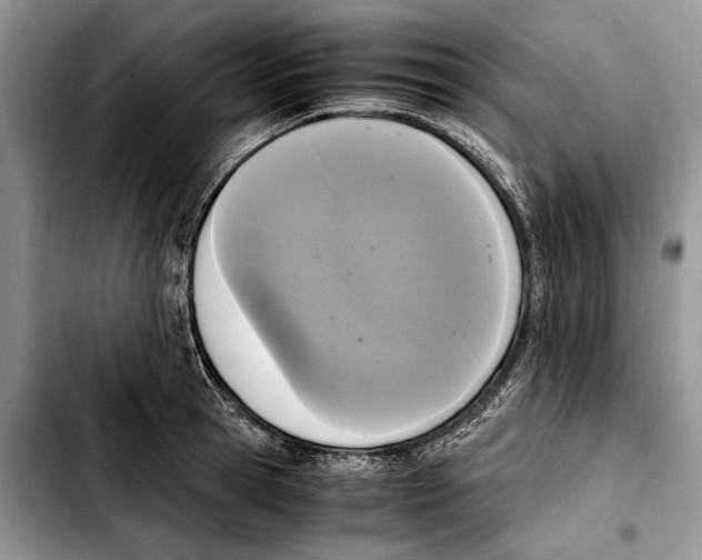 X0000103430945200810101039