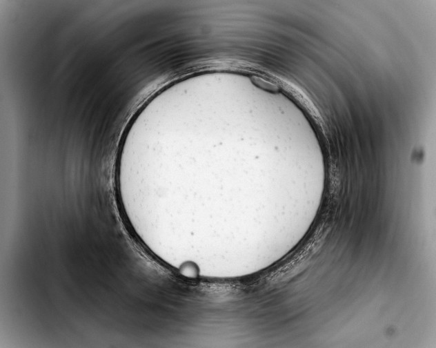 X0000103430946200810101039