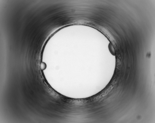 X0000103430948200810101039