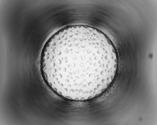 X0000103430949200810101039