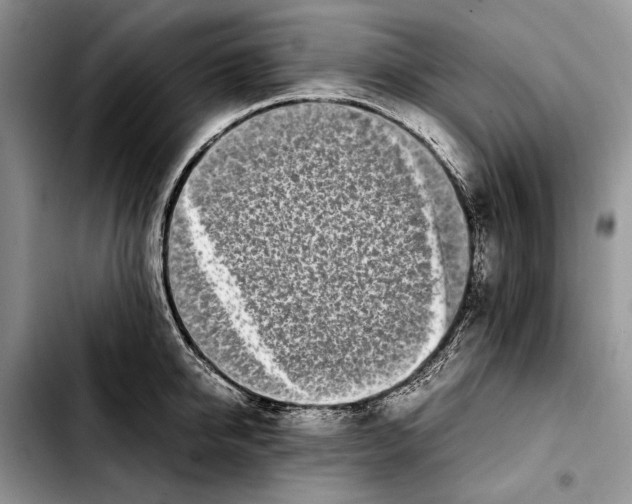 X0000103430950200810101039