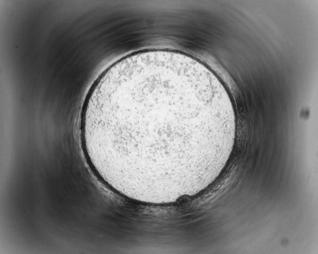 X0000103430951200810101039