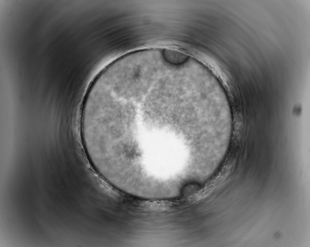 X0000103430952200810101039