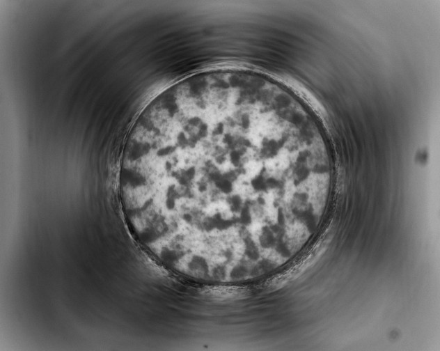 X0000103430953200810101039
