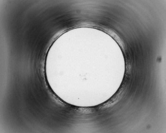 X0000103430954200810101039