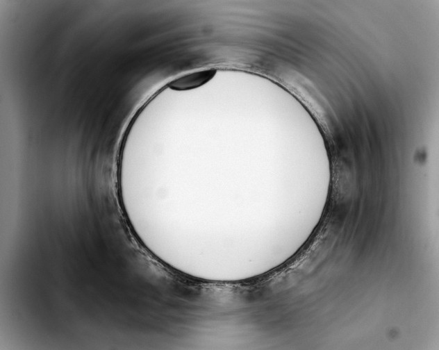 X0000103430956200810101039