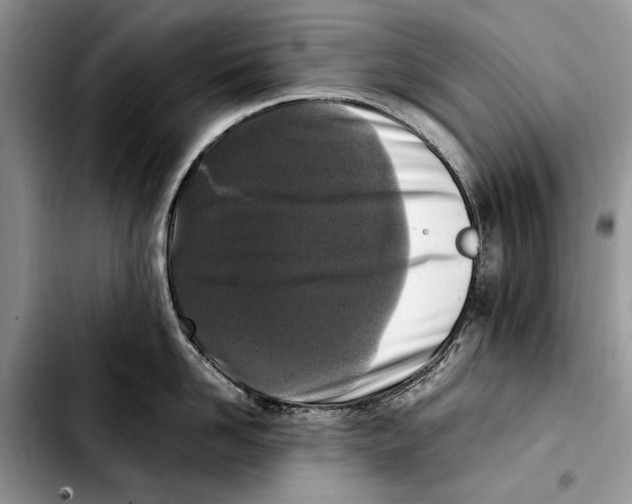 X0000103430958200810101039
