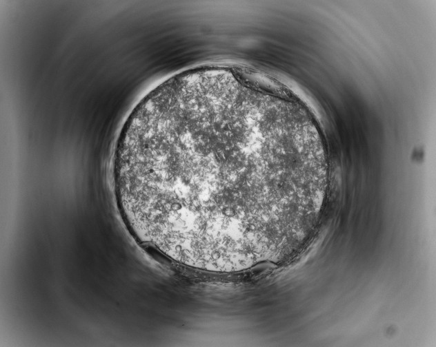 X0000103430959200810101039