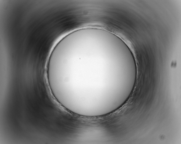 X0000103430960200810101039